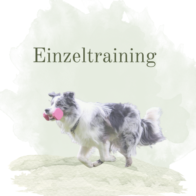 Einzeltraining