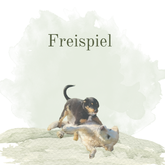 Freispiel