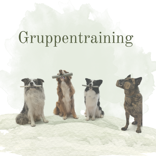 Gruppentraining