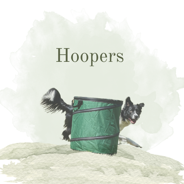 Spaß-Hoopers