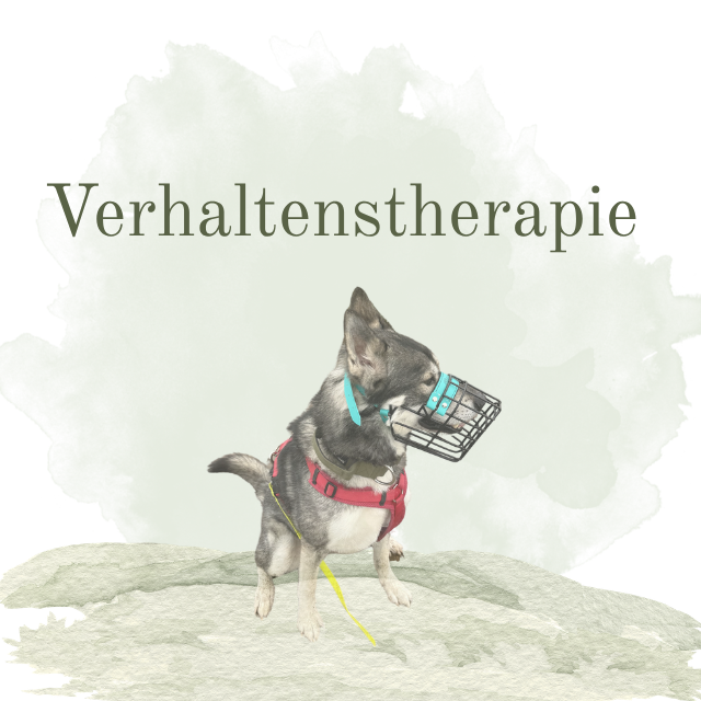 Verhaltenstherapie